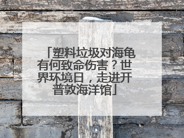 塑料垃圾对海龟有何致命伤害？世界环境日，走进开普敦海洋馆